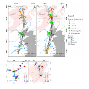 ����ku�ι���,����Ұ������׷��,��������׷����,����׷����