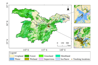 ����ku�ι���,����Ұ������׷��,��������׷����,����׷����