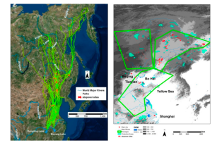 ����ku�ι���,����Ұ������׷��,��������׷����,����׷����