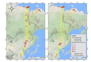 ����ku�ι���,����Ұ������׷��,��������׷����,����׷����