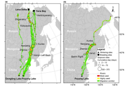 ����ku�ι���,����Ұ������׷��,��������׷����,����׷����