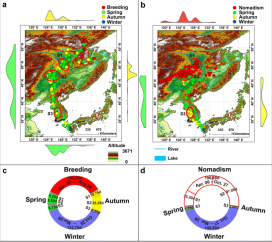 ����ku�ι���,����Ұ������׷��,��������׷����,����׷����
