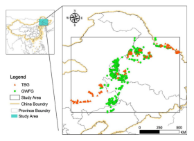 ����ku�ι���,����Ұ������׷��,��������׷����,����׷����