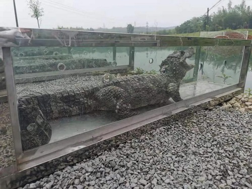 ����ku�ι���,����Ұ������׷��,��������׷����,����׷����