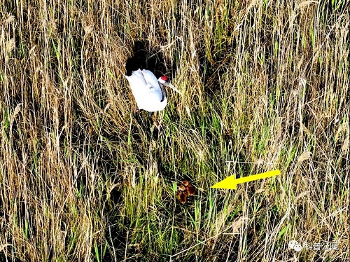 ����ku�ι���,����Ұ������׷��,��������׷����,����׷����