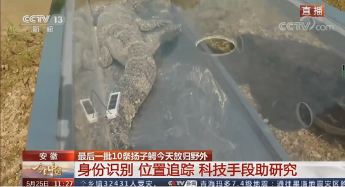 ����ku�ι���,����Ұ������׷��,��������׷����,����׷����