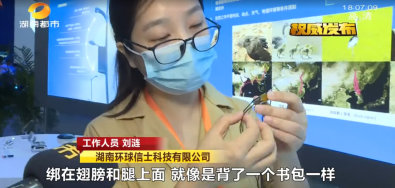 ����ku�ι���,����Ұ������׷��,��������׷����,����׷����