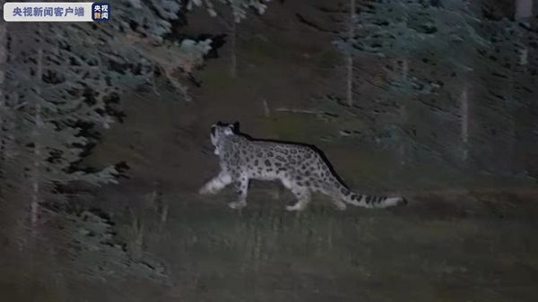 ����ku�ι���,����Ұ������׷��,��������׷����,����׷����