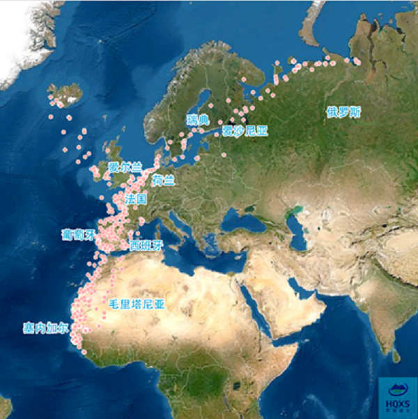 ����ku�ι���,����Ұ������׷��,��������׷����,����׷����