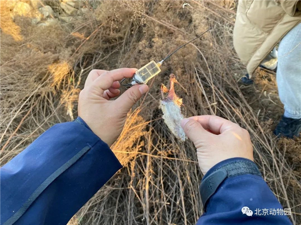 ����ku�ι���,����Ұ������׷��,��������׷����,����׷����