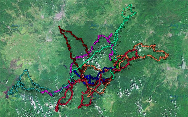 ����ku�ι���,����Ұ������׷��,��������׷����,����׷����