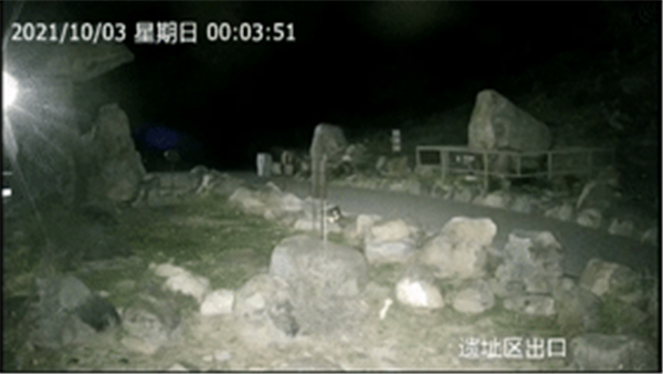 ����ku�ι���,����Ұ������׷��,��������׷����,����׷����