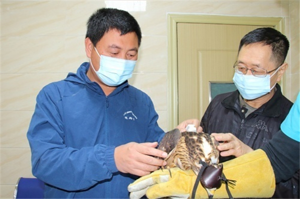 ����ku�ι���,����Ұ������׷��,��������׷����,����׷����