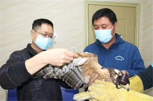 ����ku�ι���,����Ұ������׷��,��������׷����,����׷����