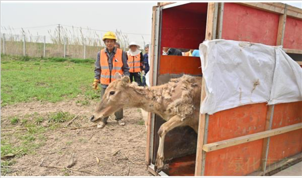 ����ku�ι���,����Ұ������׷��,��������׷����,����׷����