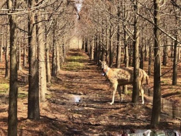 ����ku�ι���,����Ұ������׷��,��������׷����,����׷����