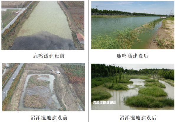 ����ku�ι���,����Ұ������׷��,��������׷����,����׷����