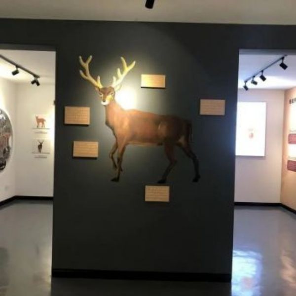 ����ku�ι���,����Ұ������׷��,��������׷����,����׷����