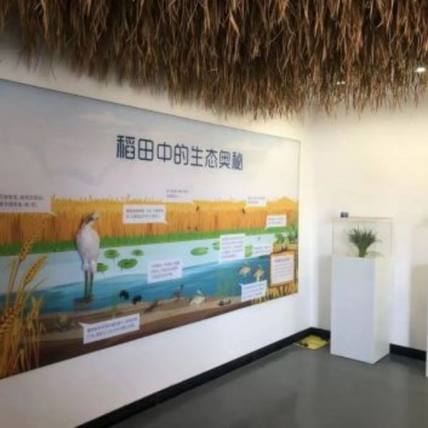 ����ku�ι���,����Ұ������׷��,��������׷����,����׷����