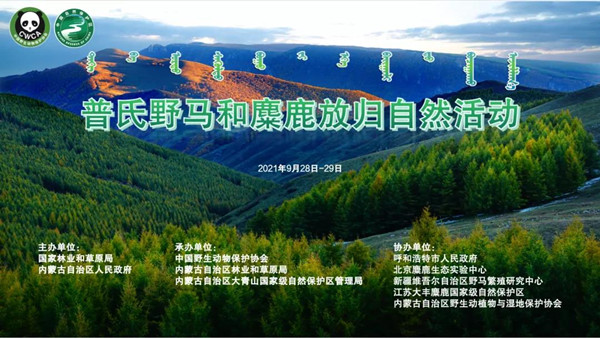 ����ku�ι���,����Ұ������׷��,��������׷����,����׷����