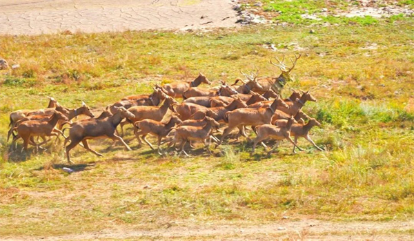 ����ku�ι���,����Ұ������׷��,��������׷����,����׷����