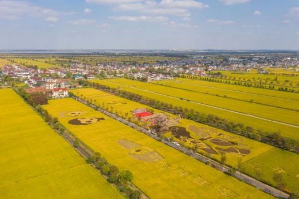 ����ku�ι���,����Ұ������׷��,��������׷����,����׷����