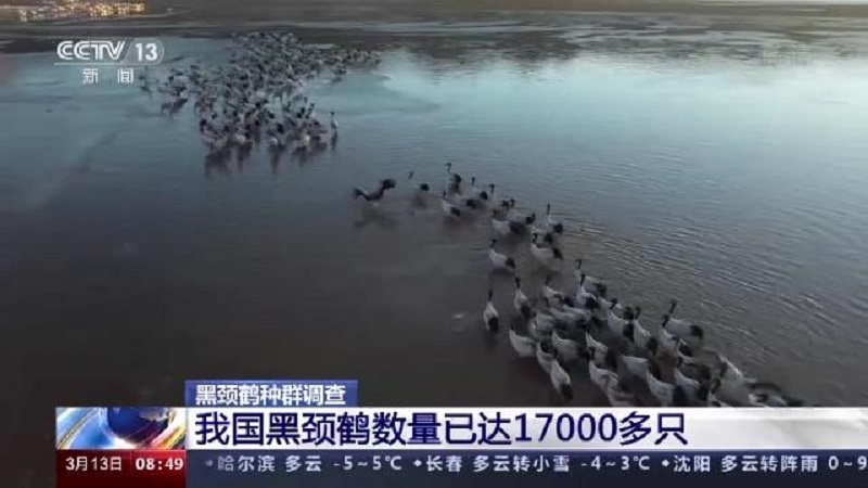 ����ku�ι���,����Ұ������׷��,��������׷����,����׷����