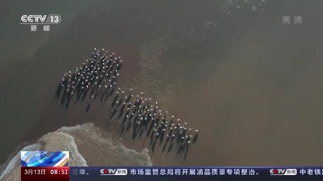 ����ku�ι���,����Ұ������׷��,��������׷����,����׷����