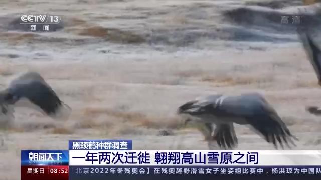 ����ku�ι���,����Ұ������׷��,��������׷����,����׷����