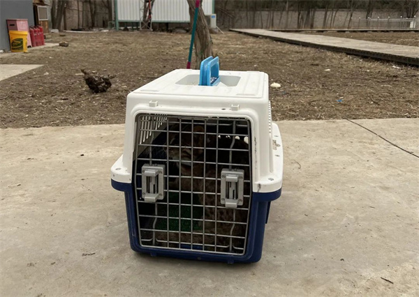 ����ku�ι���,����Ұ������׷��,��������׷����,����׷����