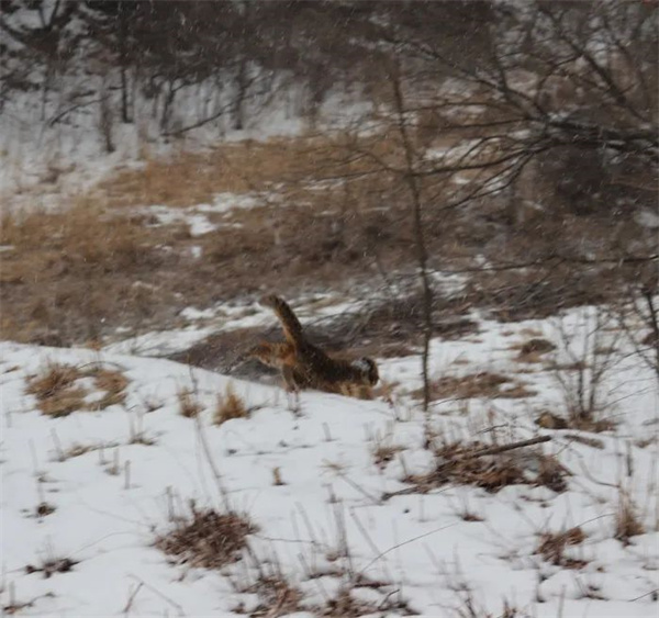 ����ku�ι���,����Ұ������׷��,��������׷����,����׷����