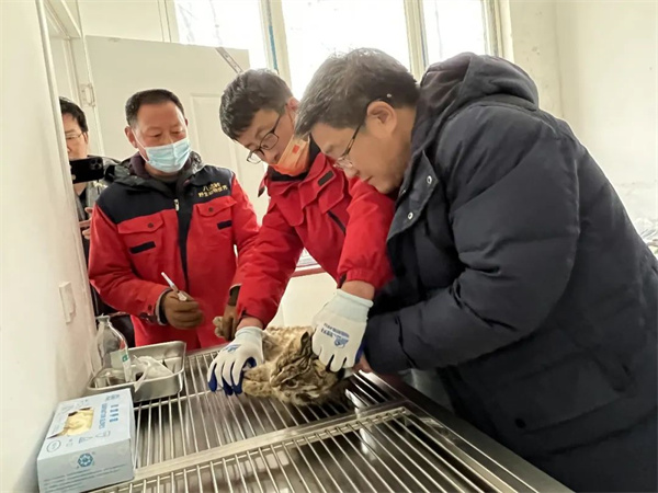 ����ku�ι���,����Ұ������׷��,��������׷����,����׷����