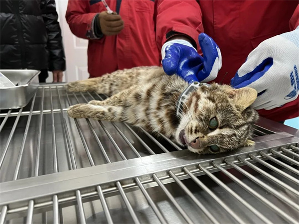 ����ku�ι���,����Ұ������׷��,��������׷����,����׷����