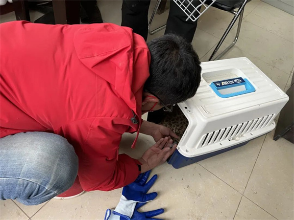 ����ku�ι���,����Ұ������׷��,��������׷����,����׷����