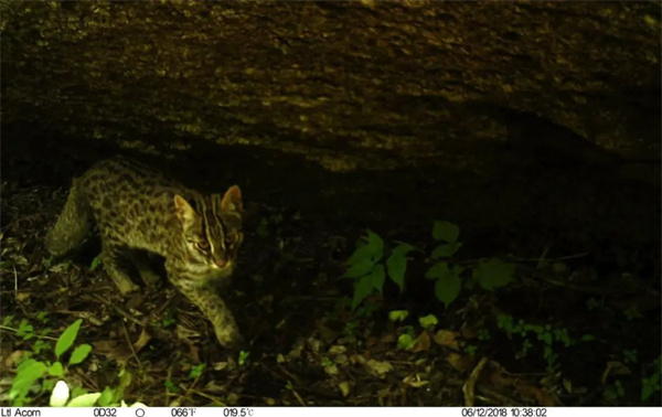 ����ku�ι���,����Ұ������׷��,��������׷����,����׷����