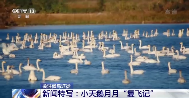 ����ku�ι���,����Ұ������׷��,��������׷����,����׷����