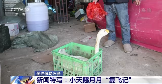 ����ku�ι���,����Ұ������׷��,��������׷����,����׷����