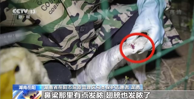 ����ku�ι���,����Ұ������׷��,��������׷����,����׷����