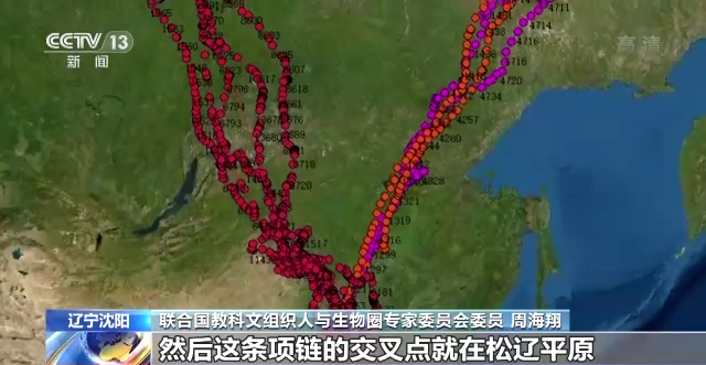 ����ku�ι���,����Ұ������׷��,��������׷����,����׷����