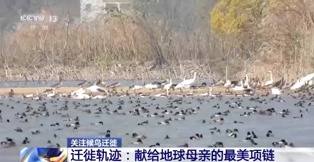 ����ku�ι���,����Ұ������׷��,��������׷����,����׷����