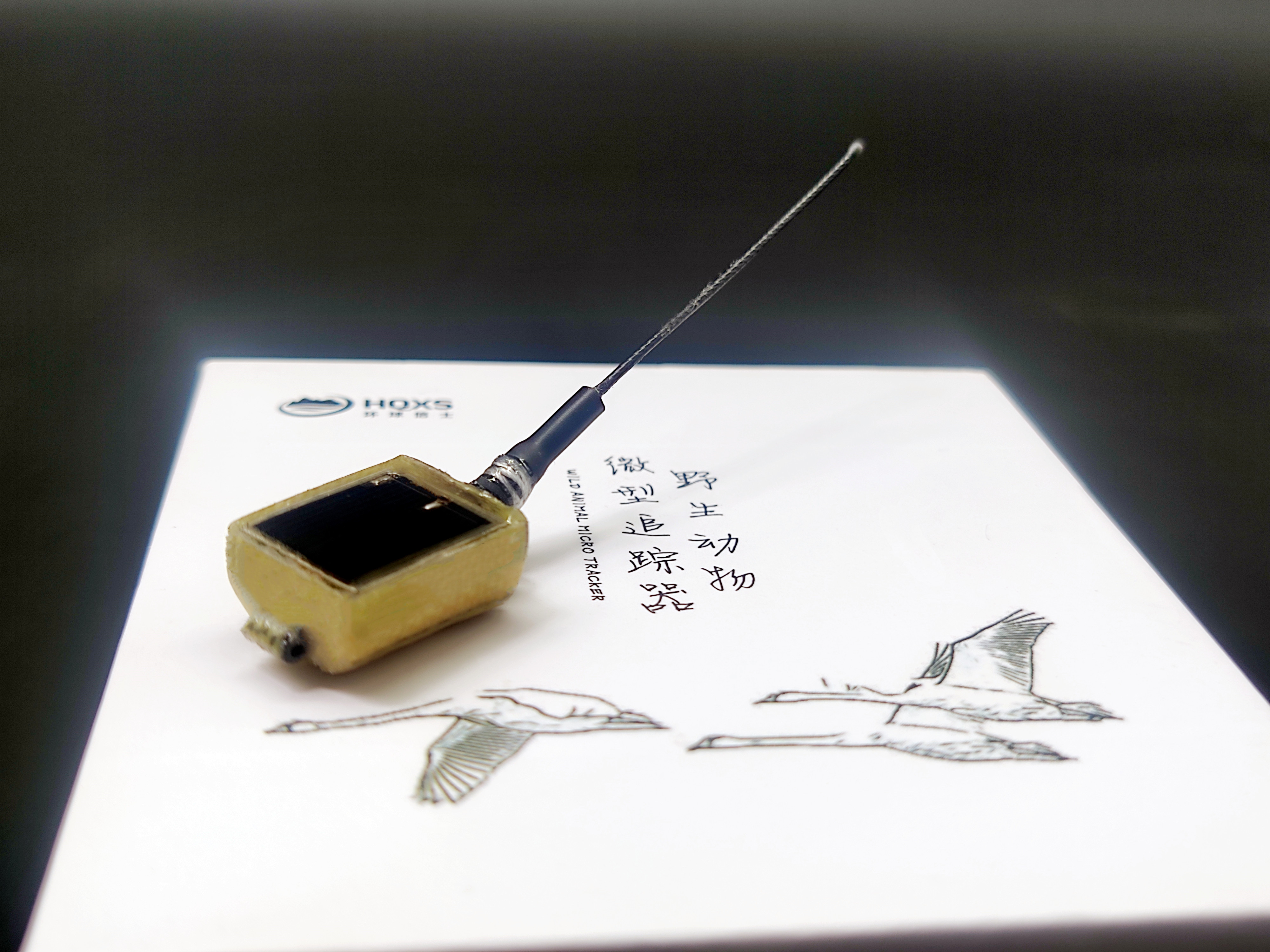 ¾ÅÖÝkuÓιÙÍø,ºþÄÏÒ°Éú¶¯Îï×·×Ù,ºþÄÏÎÀÐÇ×·×ÙÆ÷,ºþÄÏ×·×ÙÆ÷ ¾ÅÖÝkuÓιÙÍø,ºþÄÏÒ°Éú¶¯Îï×·×Ù,ºþÄÏÎÀÐÇ×·×ÙÆ÷,ºþÄÏ×·×ÙÆ÷