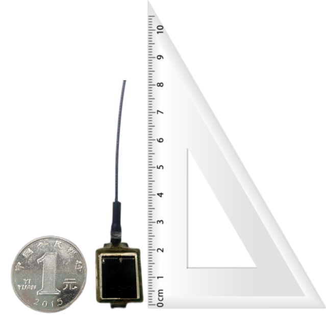 ����ku�ι���,����Ұ������׷��,��������׷����,����׷����