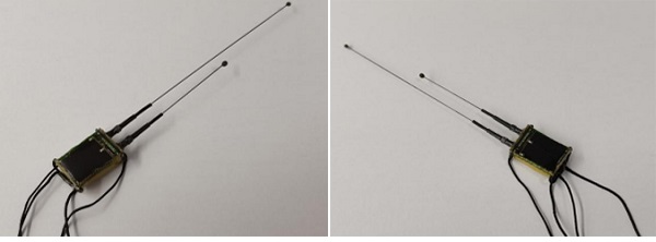 ����ku�ι���,����Ұ������׷��,��������׷����,����׷����