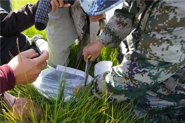 ¾ÅÖÝkuÓιÙÍø,ºþÄÏÒ°Éú¶¯Îï×·×Ù,ºþÄÏÎÀÐÇ×·×ÙÆ÷,ºþÄÏ×·×ÙÆ÷ ¾ÅÖÝkuÓιÙÍø,ºþÄÏÒ°Éú¶¯Îï×·×Ù,ºþÄÏÎÀÐÇ×·×ÙÆ÷,ºþÄÏ×·×ÙÆ÷