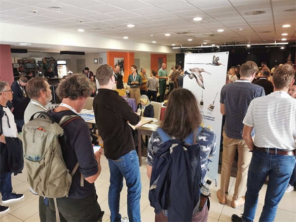 ����ku�ι���,����Ұ������׷��,��������׷����,����׷����