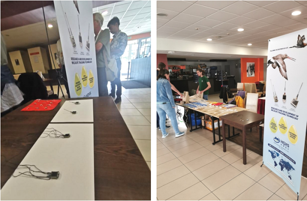 ����ku�ι���,����Ұ������׷��,��������׷����,����׷����