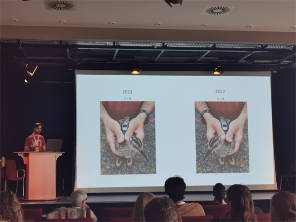 ����ku�ι���,����Ұ������׷��,��������׷����,����׷����