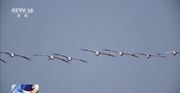 ����ku�ι���,����Ұ������׷��,��������׷����,����׷����