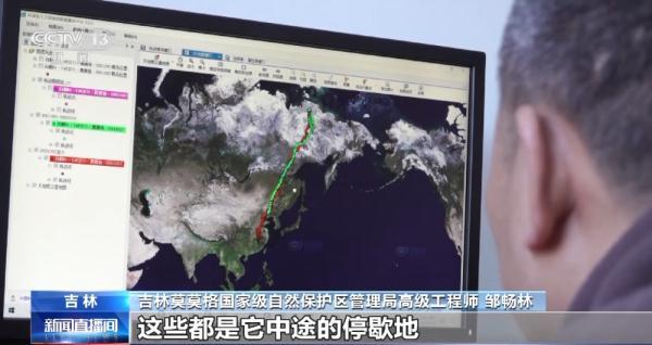 ����ku�ι���,����Ұ������׷��,��������׷����,����׷����