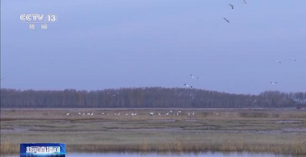 ����ku�ι���,����Ұ������׷��,��������׷����,����׷����